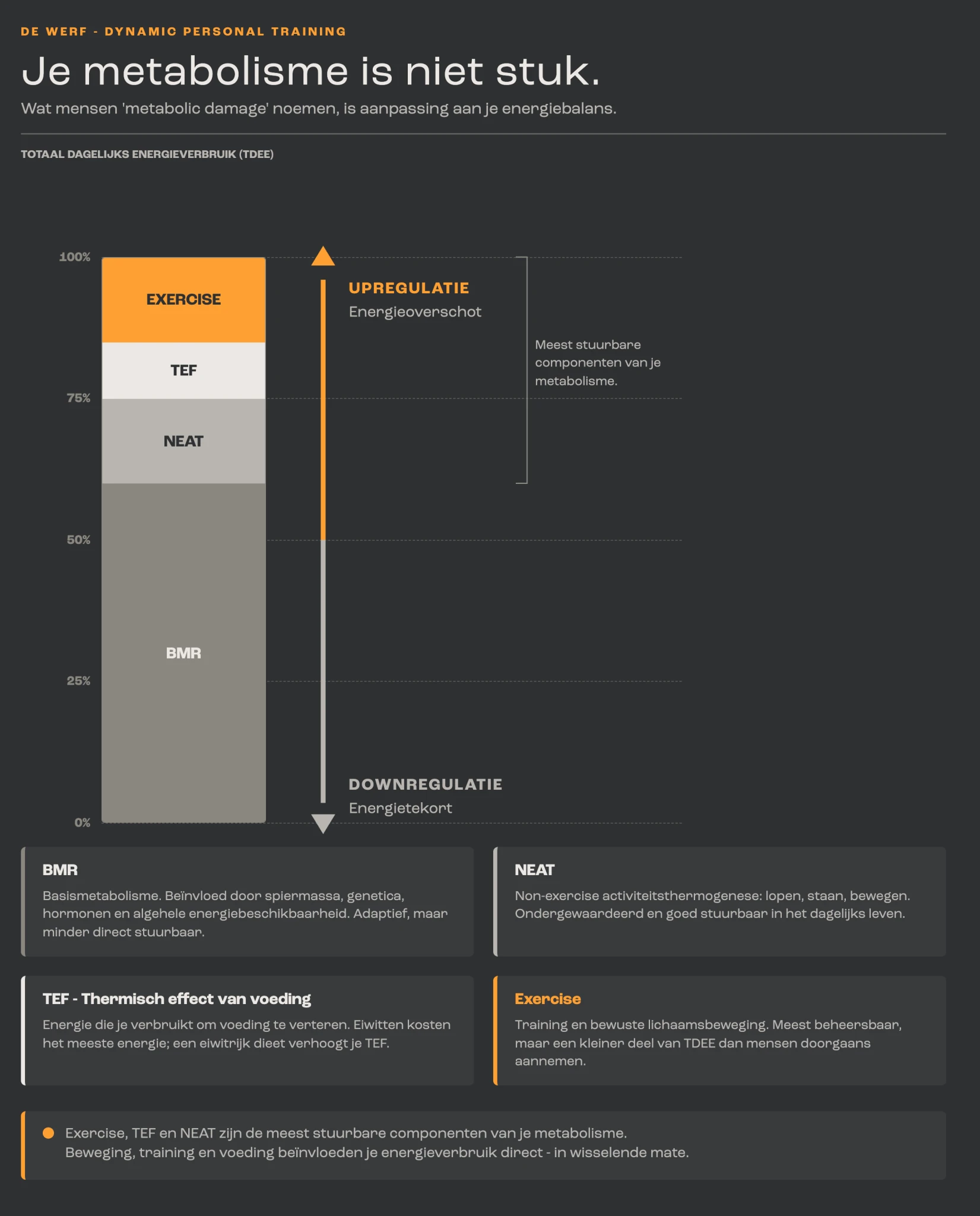 Infographic: je totale dagelijkse energieverbruik bestaat uit BMR, NEAT, TEF en training. NEAT, TEF en training zijn het meest stuurbaar.