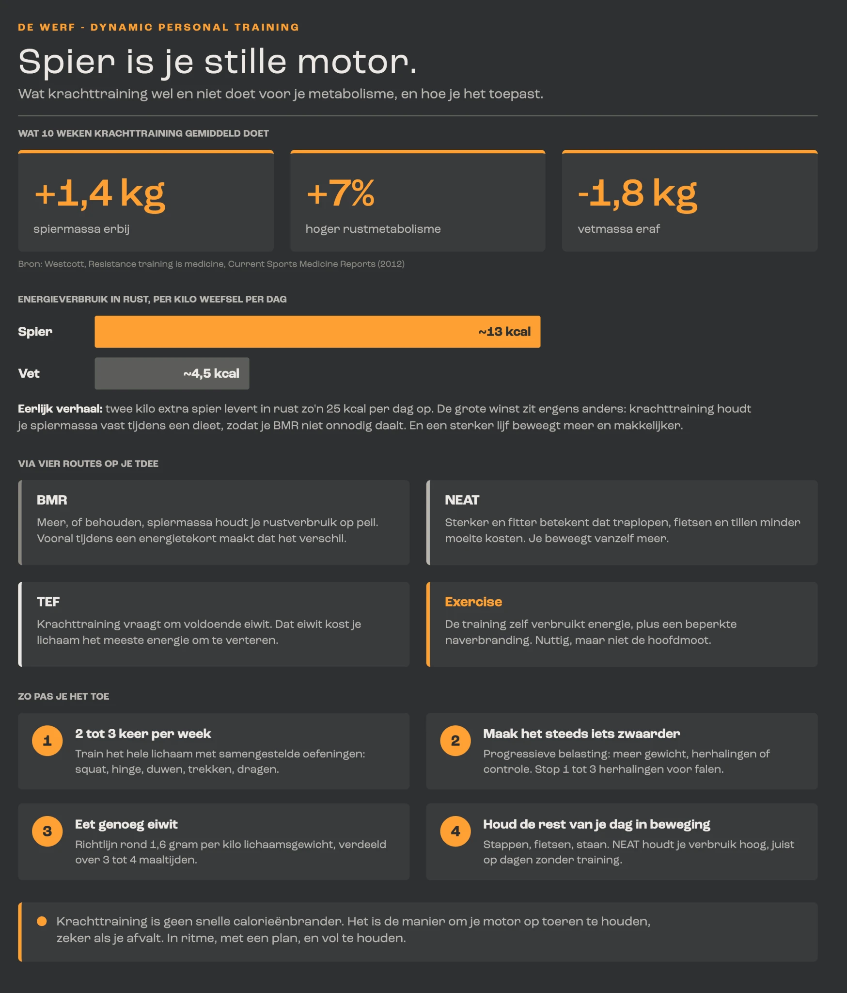 Infographic: wat krachttraining doet voor je metabolisme, via welke vier routes en hoe je het toepast.