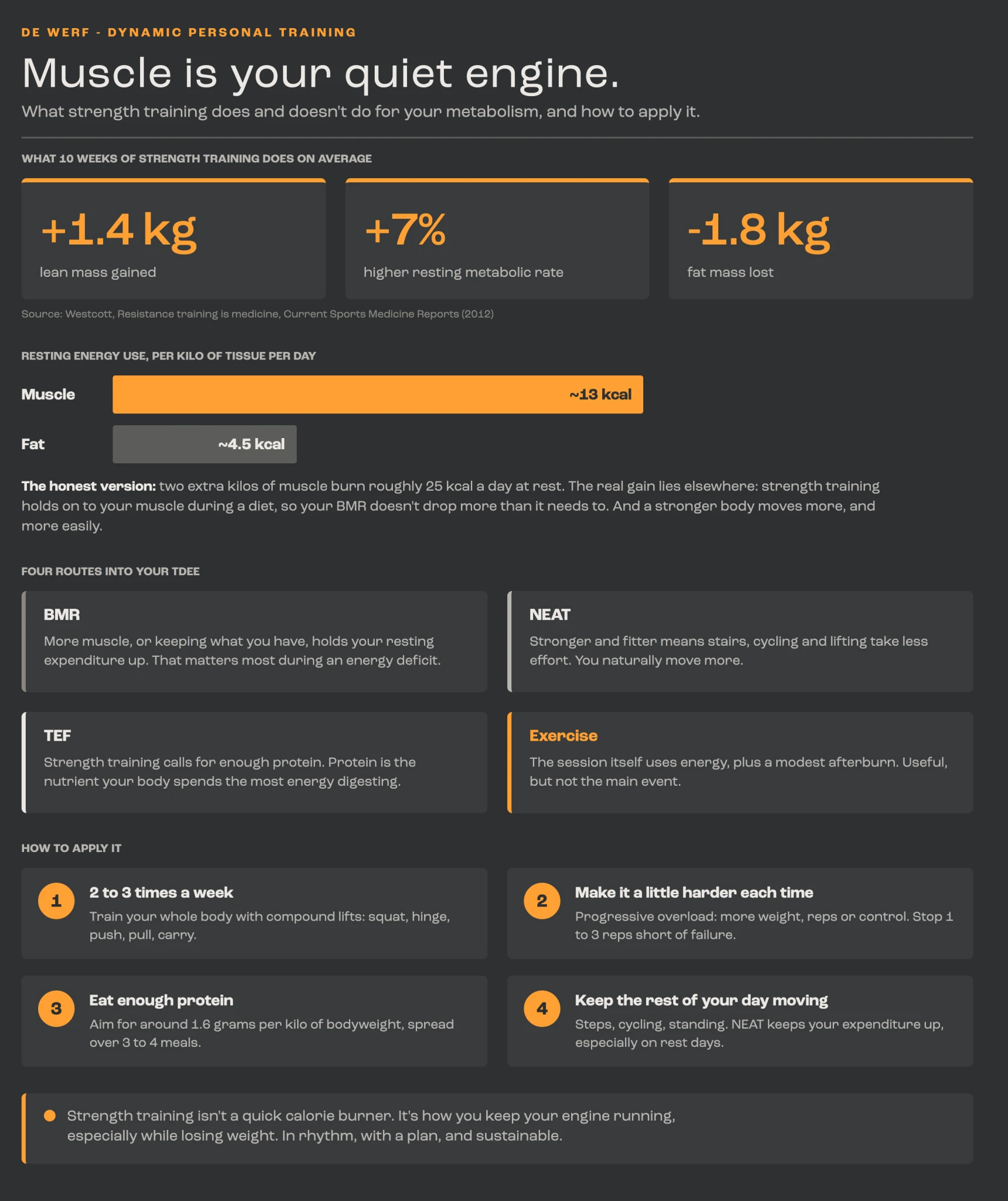 Infographic: what strength training does for your metabolism, through which four routes and how to apply it.
